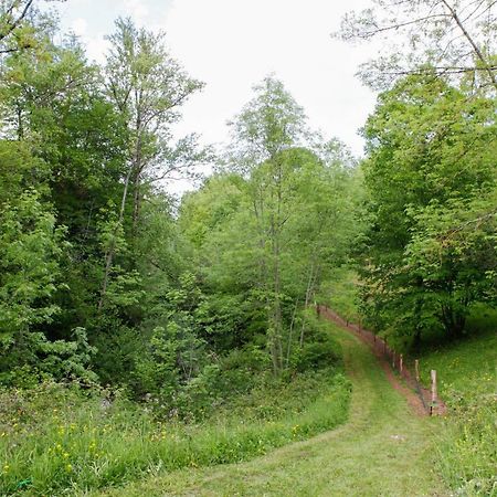 Moulin D'Entre Les Roches Bed & Breakfast Puivert Luaran gambar