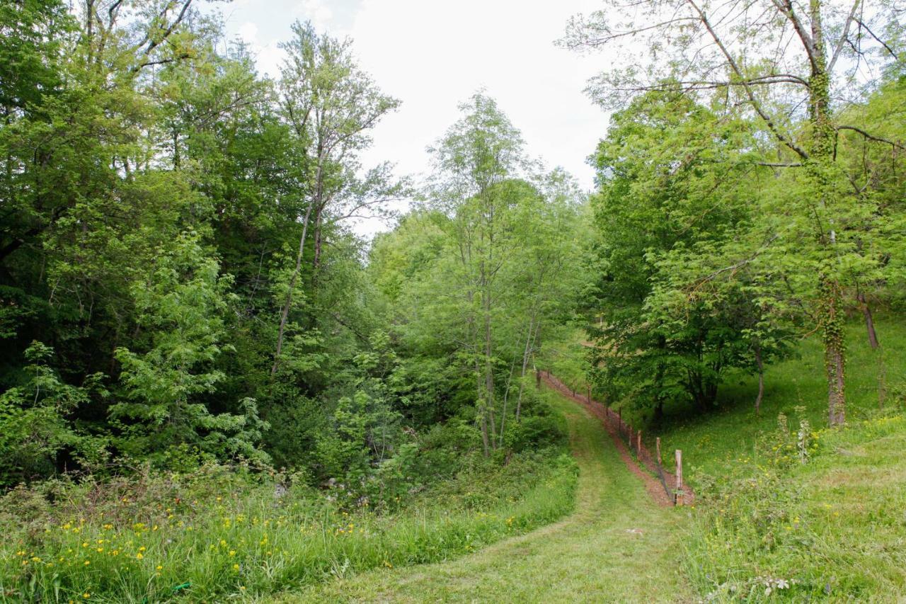 Moulin D'Entre Les Roches Bed & Breakfast Puivert Luaran gambar