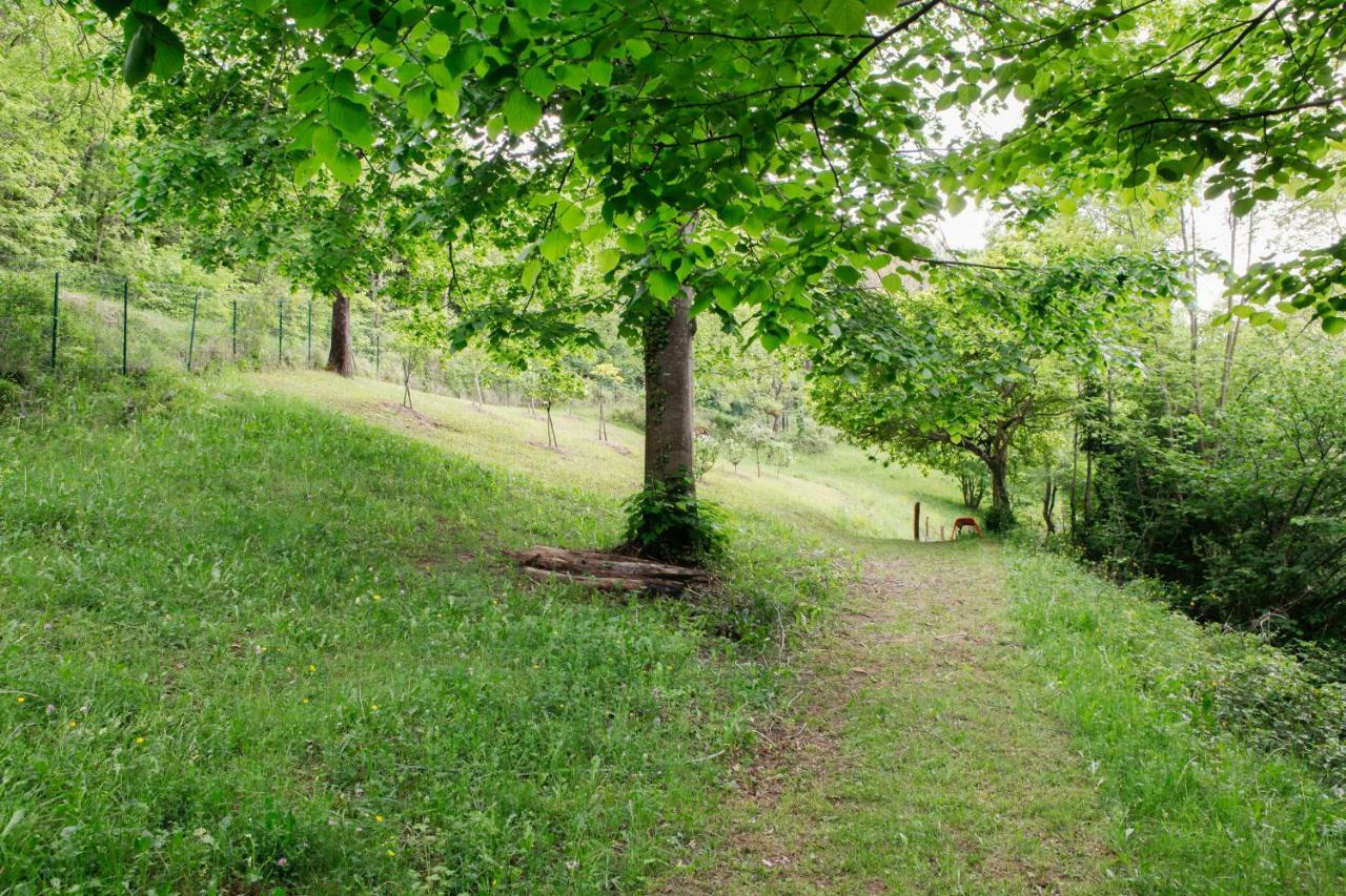 Moulin D'Entre Les Roches Bed & Breakfast Puivert Luaran gambar